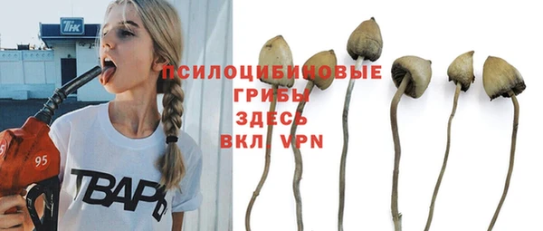 метадон Беломорск