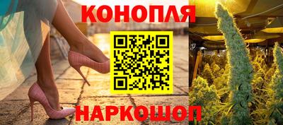 сатива Комсомольск-на-Амуре