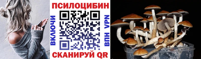 Галлюциногенные грибы Magic Shrooms Кстово