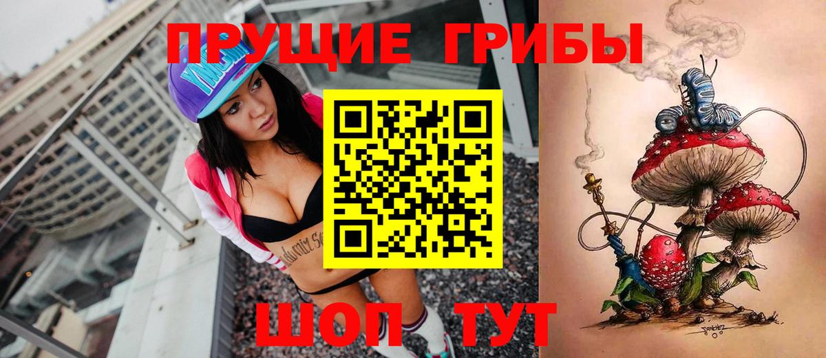 Галлюциногенные грибы прущие грибы Кстово